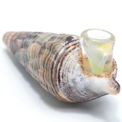 Seashell Smoking Bowl Pipe