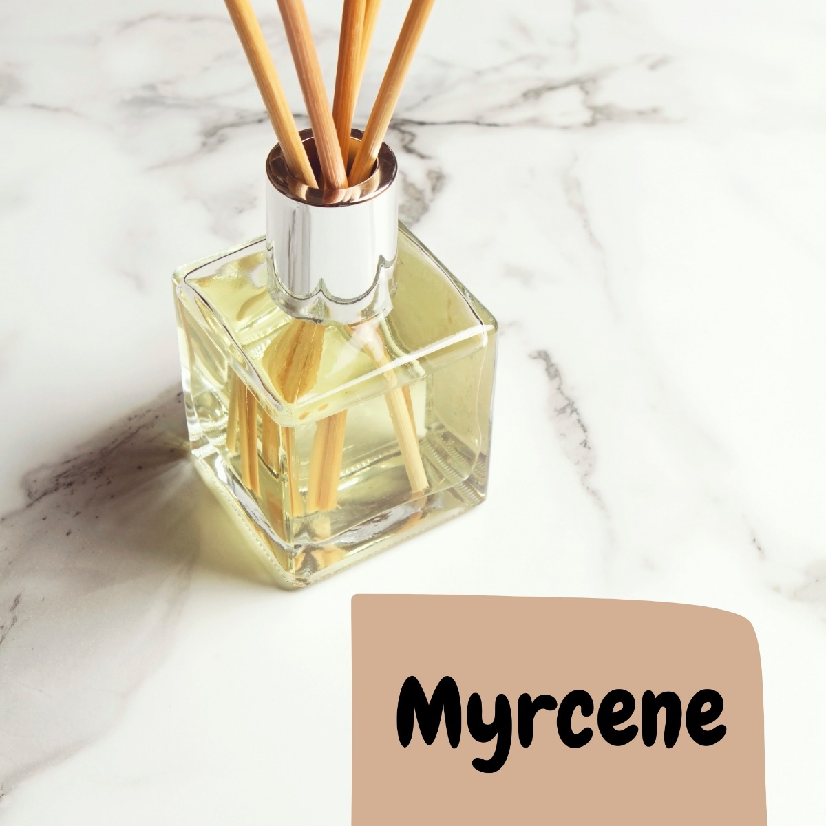 oil sense in the room vibe with text saying Myrcene