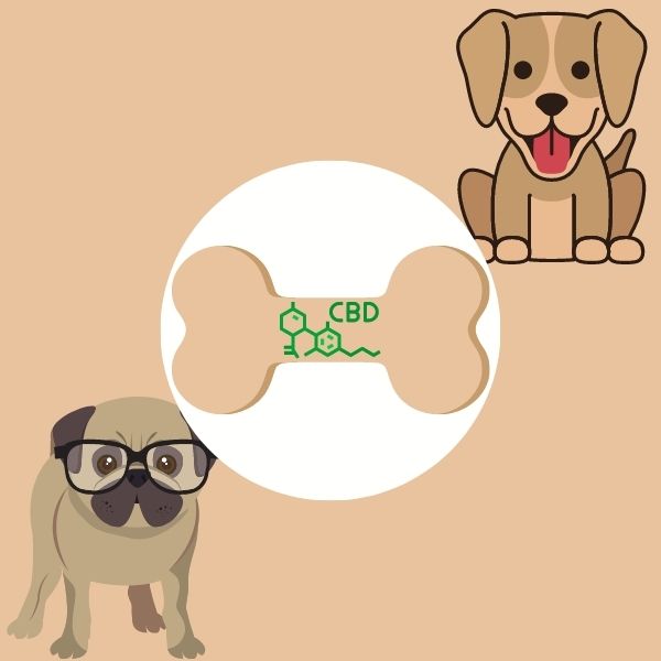 CBD dog treats for two puppies 