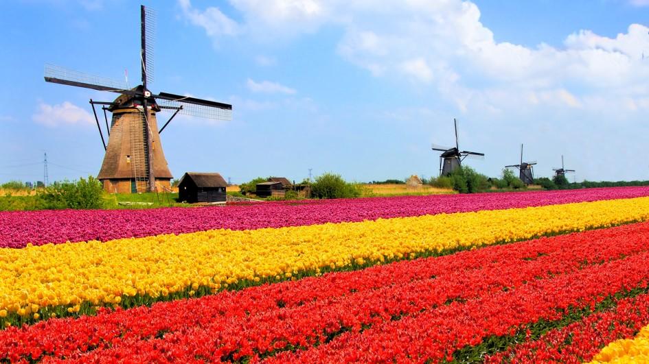 Netherlands.jpg