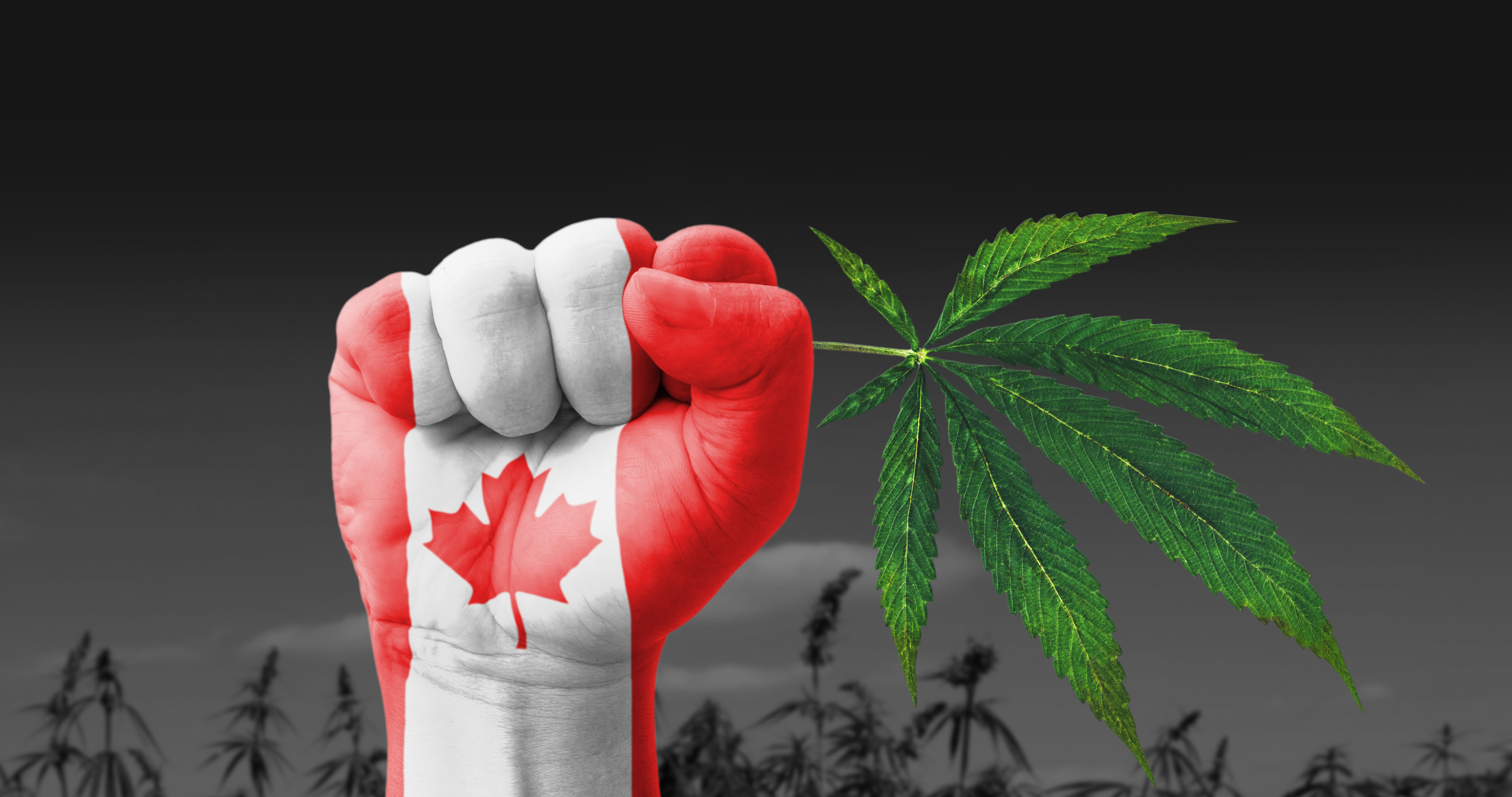 Resultado de imagem para CANADA LEGALIZA CANNABIS