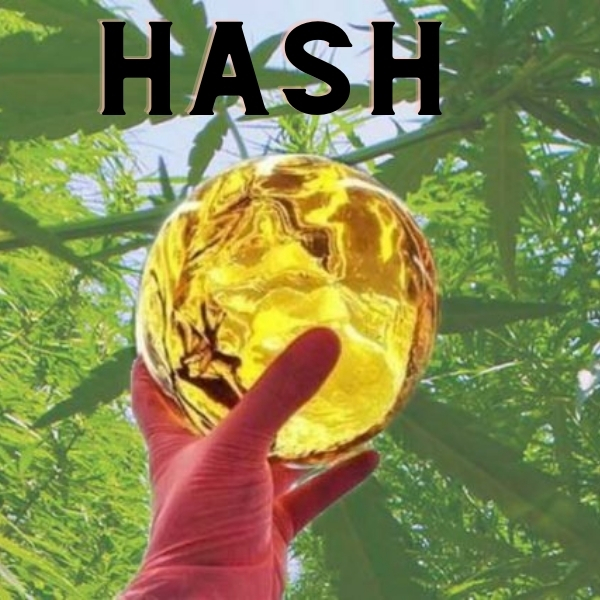 Dab hash with a pure blonde gold look meaning high quality 