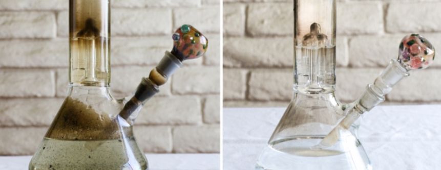 How to Clean a Percolator Bong