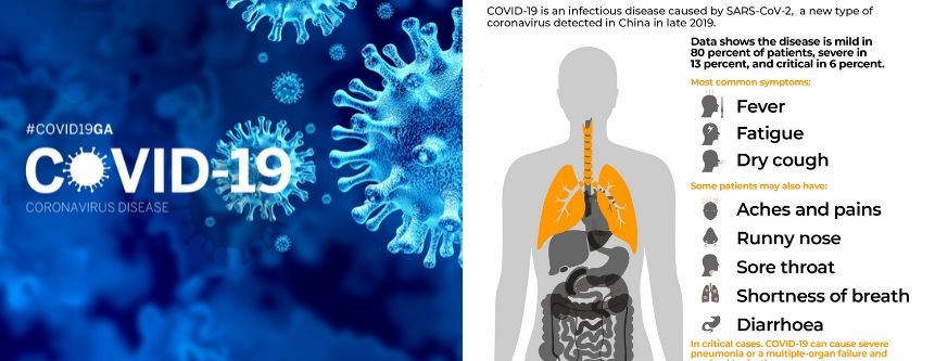 What is the Coronavirus?